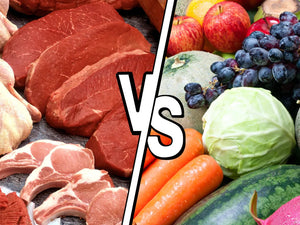 Biodispinibilité des Nutriments Feature