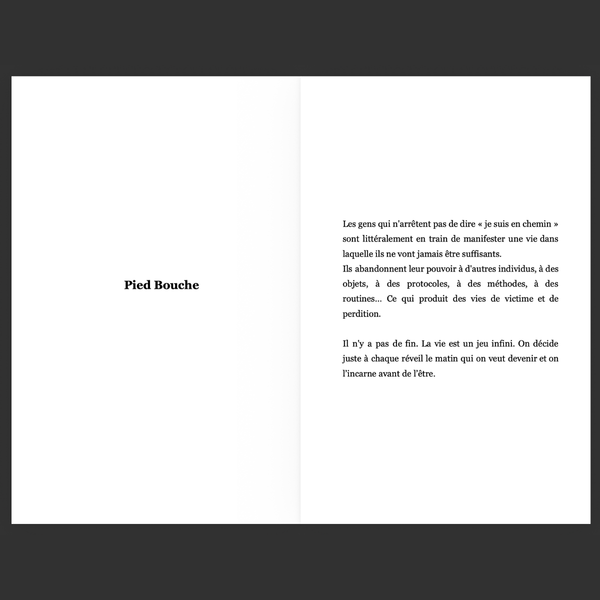 Pied Bouche Volume 1 - Le manuel anti “dev perso”. Pour ceux qui veulent gagner au jeu de la vie. (Format PDF)