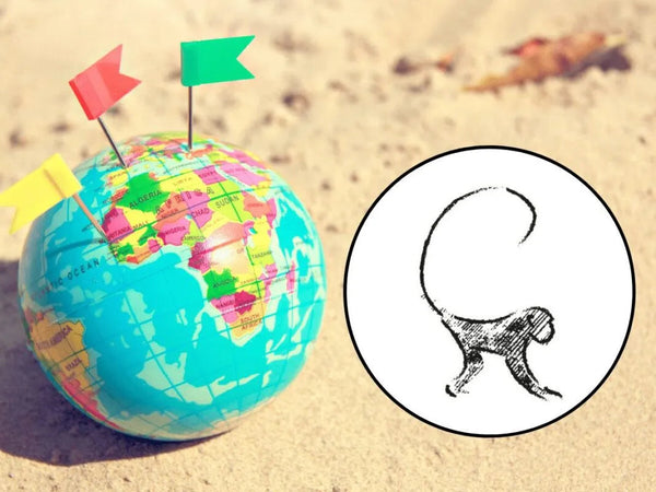 Ido PIdo Portal dans le Monde Feature