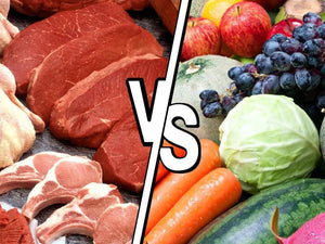 Assimilation des nutriments : pourquoi passer d’un régime végétarien ou vegan à une alimentation omnivore riche en produits animaux ?