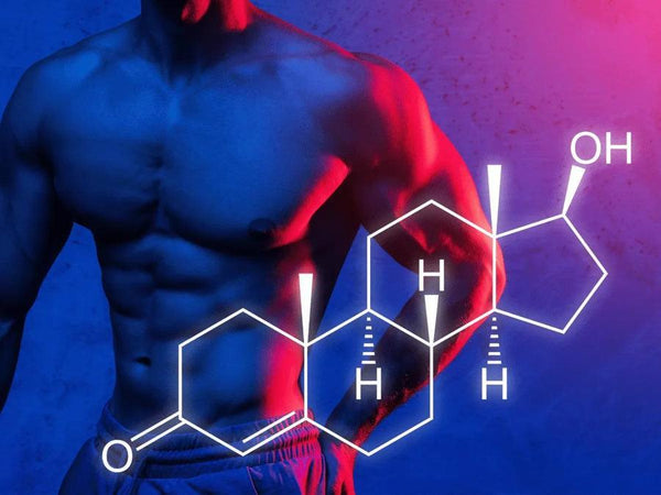 Comment booster sa testostérone naturellement avec le régime carnivore ? 