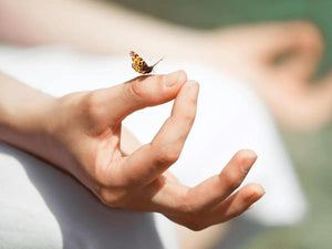 Quels sont les bienfaits de la méditation sur la santé et la longévité ?