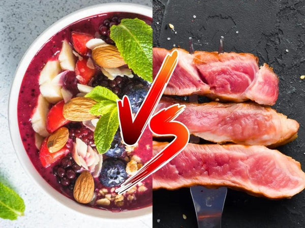 Régime Carnivore vs Vegan : le résumé des arguments des deux camps (idéologie, philosophie, nutrition, santé, écologie, spiritualité…) 